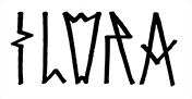 LOJA – FLORA MATOS